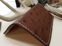 Ostrich Skin Chocolate color long wallet